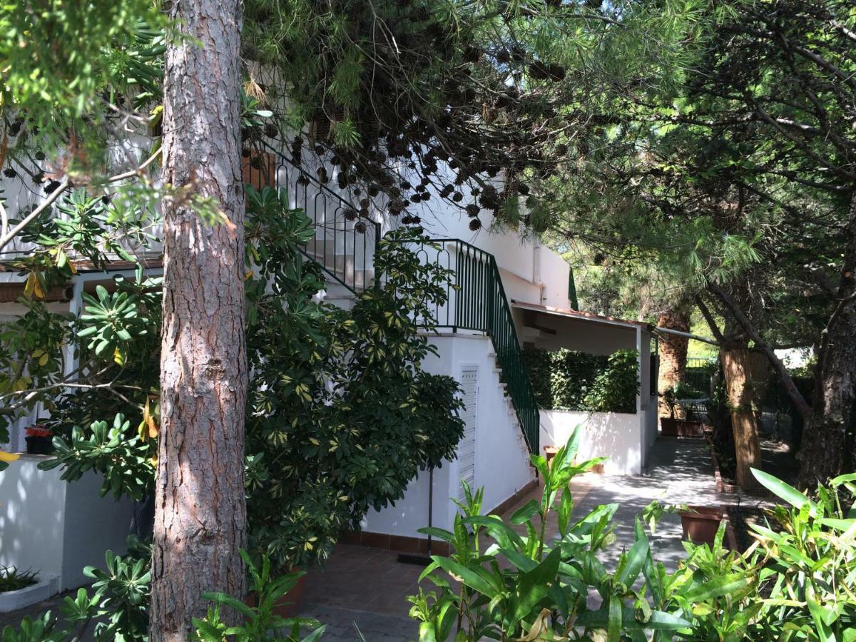 Villa Irene เวียสเต ภายนอก รูปภาพ
